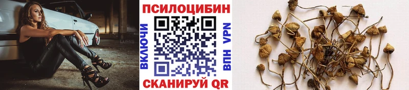 Псилоцибиновые грибы GOLDEN TEACHER  Купить закладки  Краснознаменск 